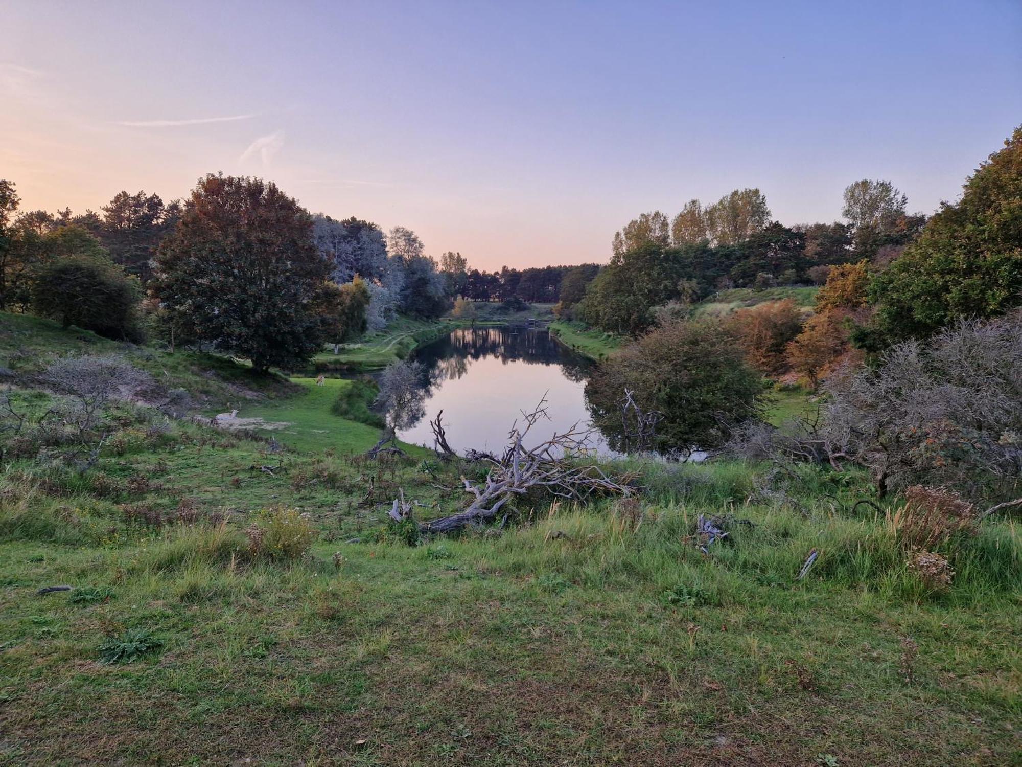 Duin-Vliet Bed & Breakfast Bentveld Bagian luar foto